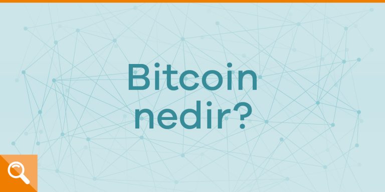 1 bitcoin ilk çıktığında ne kadardı