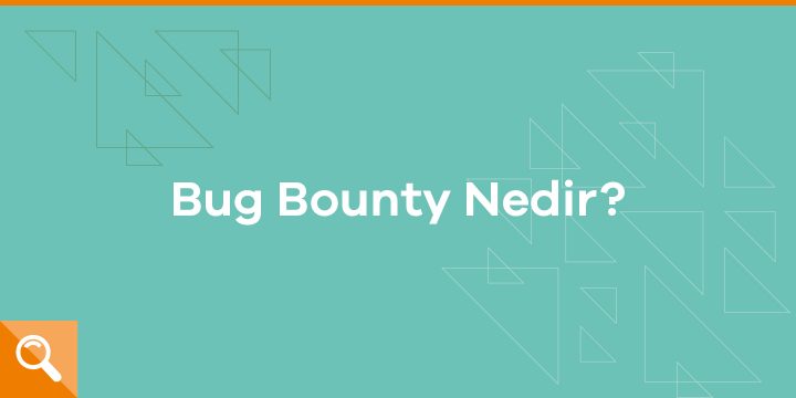 Bug bounty (hata ödülü) nedir? - ParibuLog