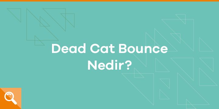Dead cat bounce (ölü kedi sıçraması) nedir? - ParibuLog